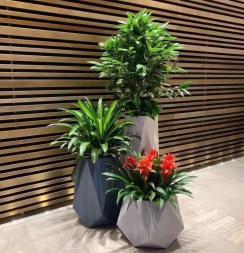北京公司大樓綠植花卉創新服務 租擺、養護與配送一體化生態方案